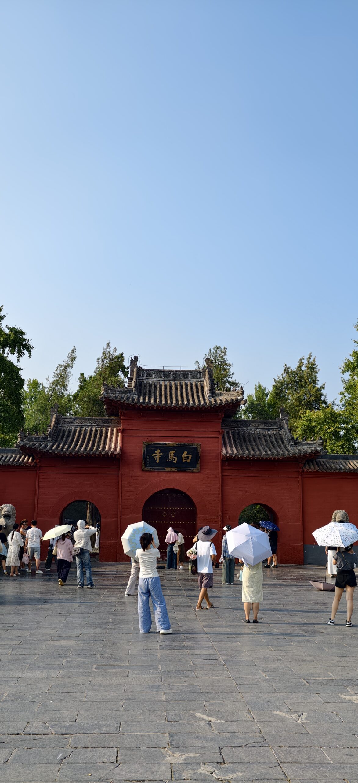 白马寺山门附近，古木与红墙把暑热隔在一层树影之外