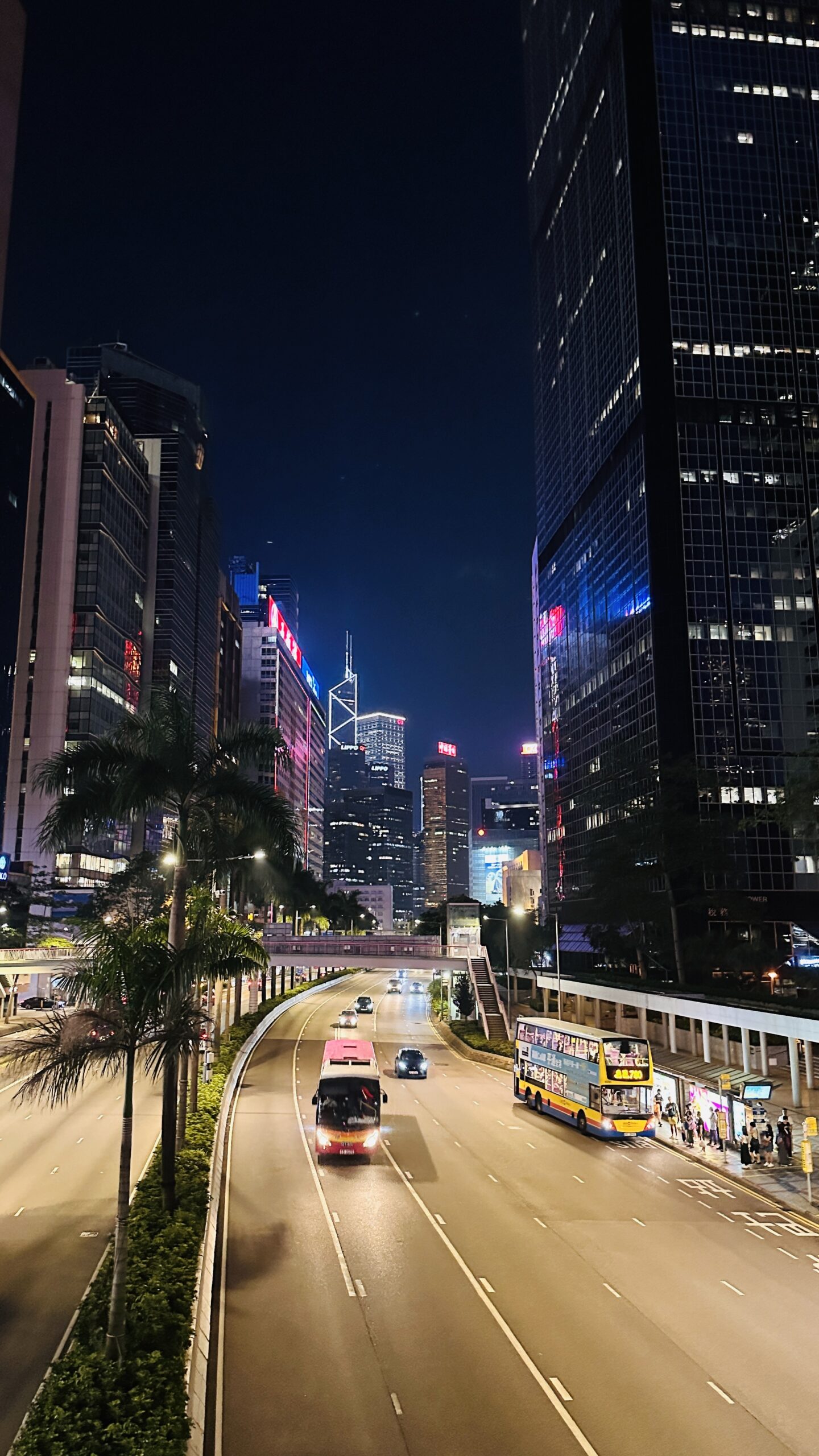 夜色落到中环对岸，灯光开始接管城市