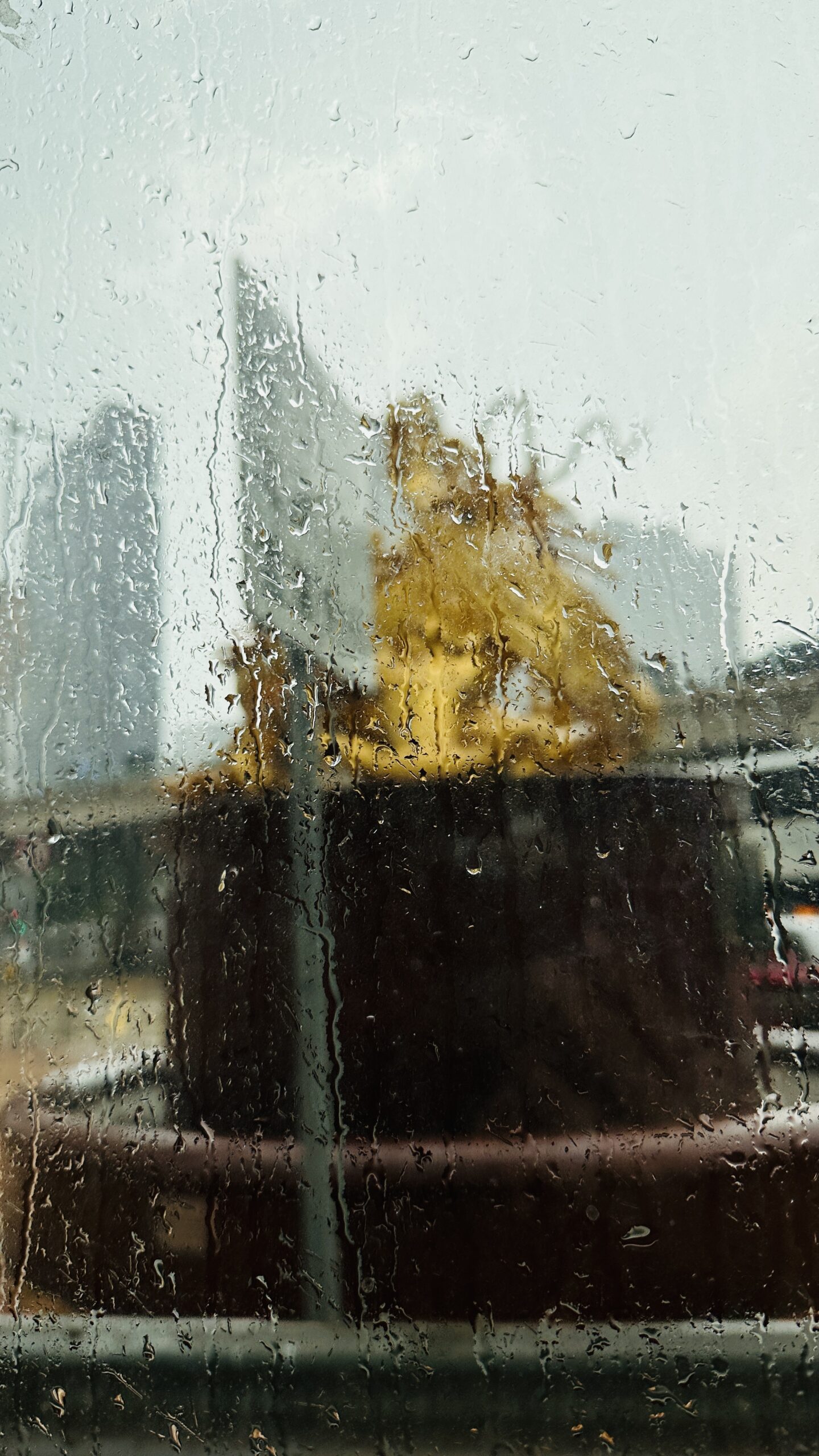 第二天早晨仍在香港，雨水让街面显得更清亮