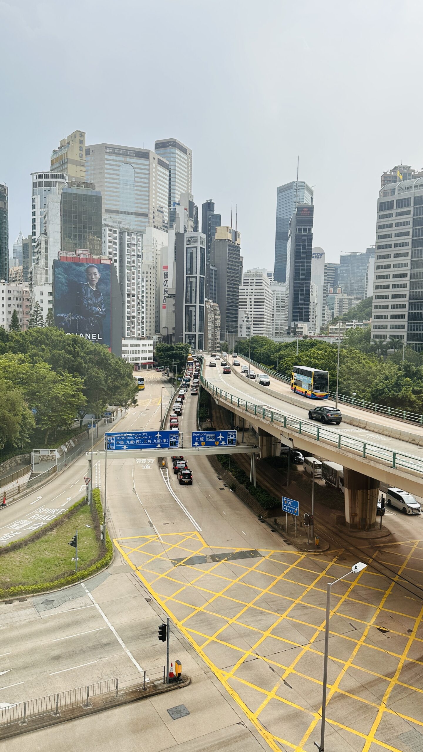 云低下来时，香港的高楼更像从水汽里长出