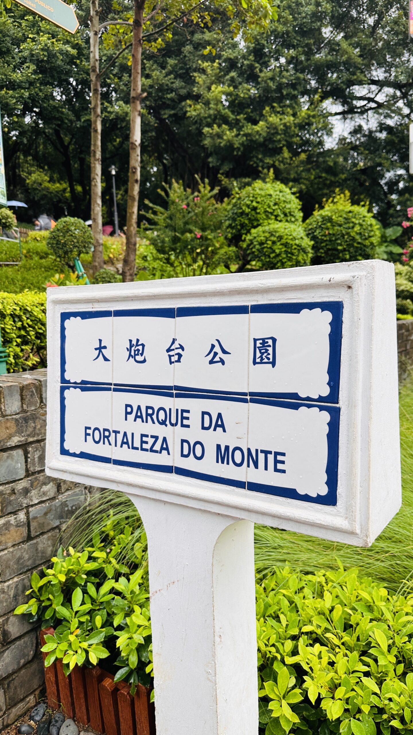 从高处回望大三巴，游客像潮水一样绕着它流动