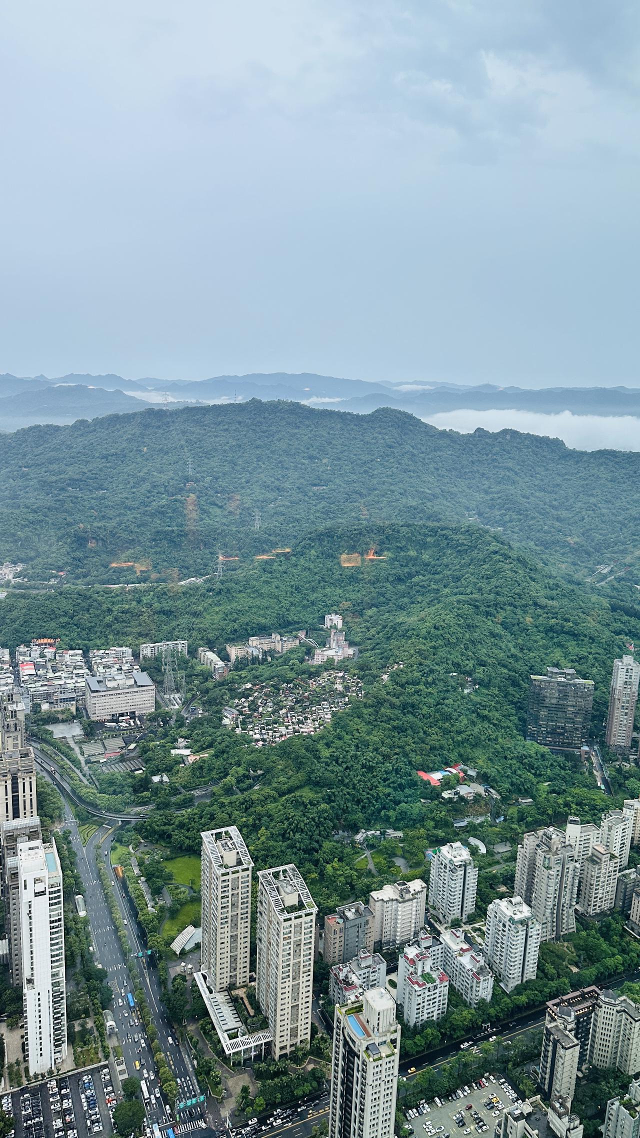 山线贴在城市背后，提醒人台北并不只是高楼